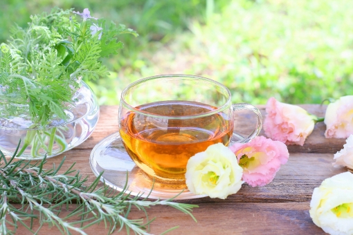 花粉症に効く飲み物 お茶 ハーブティー 花粉症対策におすすめ５選 暮らしのログノート